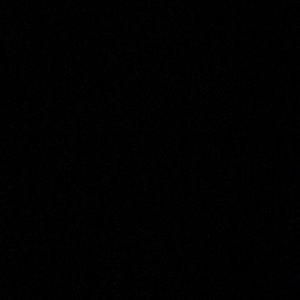 Meet your Posher, Jackson